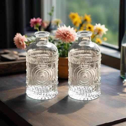 TIWPAJS 2Pcs Propagation Vases for Plants, Bud Vases, Small Glass Vase for Flowers, Home and Table Decor, Shelf, Desk, and Office