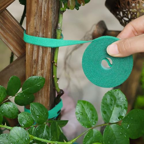 Green Nylon Plant Ties Reusable Cable Hook Loop Organizer Strap Support Double Side Fastener Tape Home Garden Accessories (2roll,3m*1cm) - color: 2roll,3m*1cm