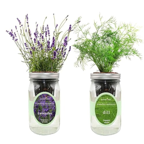 2-Pack Hydroponic Mason Jar Herb Garden Kit, Indoor Herb Garden Self-Watering Starter Kit, New Christmas Gift for Mom (Dill,Lavender)