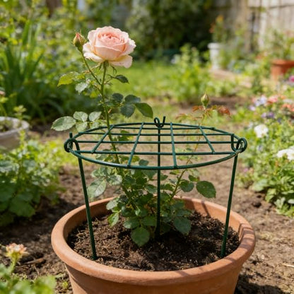 MTB Supply 10 Pack 16 x 24 inch Green Peony Cages Grow Through Plant Support Stakes Flower Support Hoops Heavy Plants Brace Rings - size: Grid 10pack