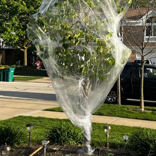 6.5X50 FT Garden Netting Pest Barrier, Ultra Fine Mesh - size: 6.5x50 FT