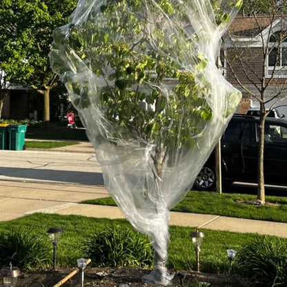 6.5X50 FT Garden Netting Pest Barrier, Ultra Fine Mesh - size: 6.5x50 FT