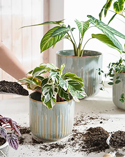 LE TAUCI Ceramic Pots for Plants, 8.3/7/6 Inch Indoor Planters with Drainage Holes & Mesh, Modern Glossy Glaze Cylinder Fluted Plant Pot for Snake Plant, Set of 3, Mist Gray - color: Mist Gray