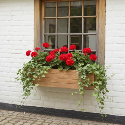 Handmade Rustic Cedar Herb Window Planter Box – Wooden Window & Railing Planter for Indoor or Outdoor Use, Made in USA (48") - size: 48"