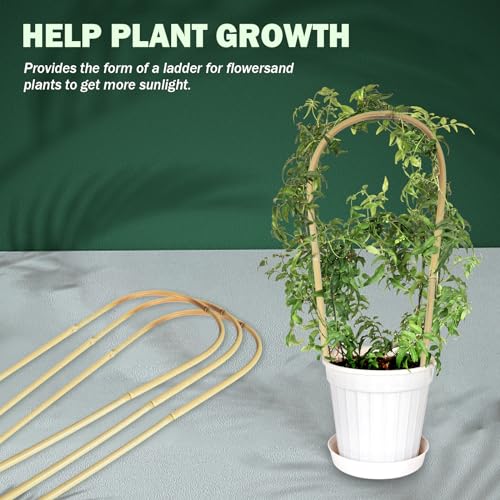 Jollybower Natural U-Hoops Bamboo Plants Trellis 3Ft, Garden Trellis U-Shape for Climbing Plants, Garden Arch Trelli Support for Potted Plants, Vines, Ivy Climbing Plants, Flowers-3 Pack - size: U-Shaped 3Ft