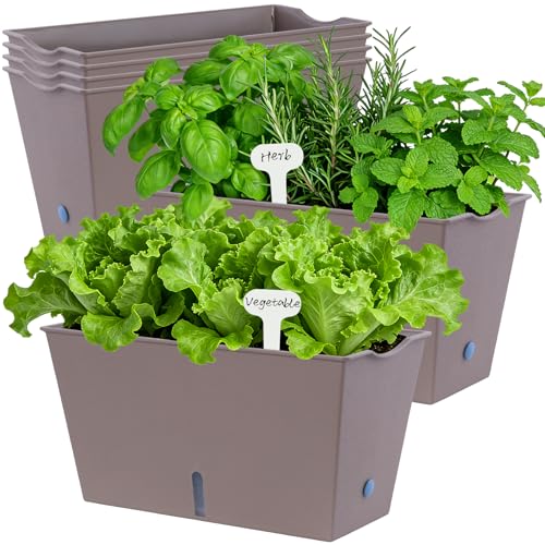 Oliz Window Box Planter 6 Pcs, 12.6 Inches Self Watering Rectangle Flower Plant Pots with Drainage Holes & Breathable Trays, Vegetable Planters for Windowsill Patio Garden Balcony Porch Yard (Khaki) - color: Khaki, size: 12.1*6.4*6.3 inch