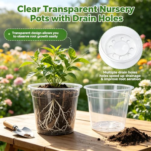 THTLTLGT 3.5/4/5/6 Inch Clear Nursery Pots with Drainage for Plants 20 PCS