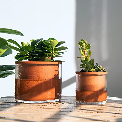 Phoenix Vine 4 Inch 6 Inch Self Watering Plants Pots, Design Terracotta Pots for Plants, Indoor Cylinder Terra Cotta Planter with Glass Vase Set, 51-A-G-46 - color: Terracotta, size: 4+6 Inch