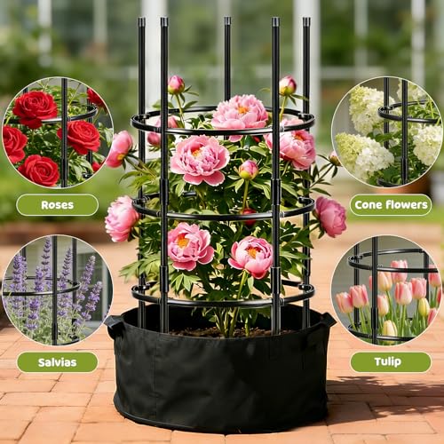 19.5" D x 39" H Peony Plant Support Cage,3-Tier Stackable