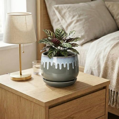 Ceramic Pots for Plants 6 Inch, Indoor Plant Pots, Grey-Blue - size: 6 Inch, style: Grey-blue