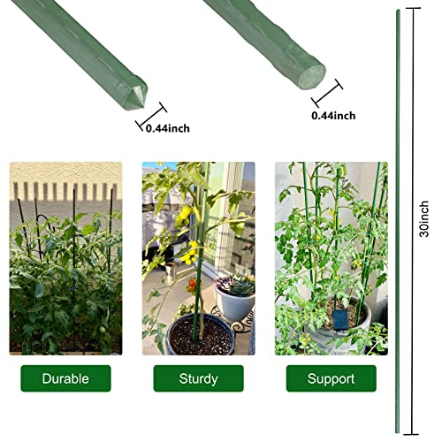 Garden Stakes, 30 Inch 2.5Ft Steel Plant Tomato Stakes, 25 Pack - size: 30 inch