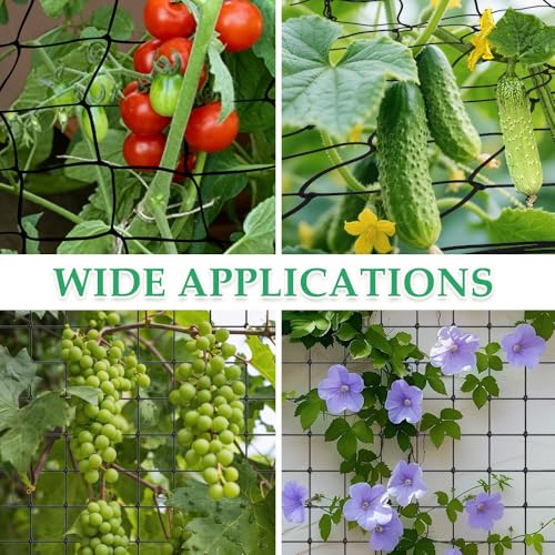 Trellis Netting, 4x4 Ft Plant Net with 4 Hooks Garden Trellis Netting Black Elastic Garden Netting Heavy-Duty Trellis Nets for Grow Tent Vegetables Fruits Flowers Plant Climbing Gardening