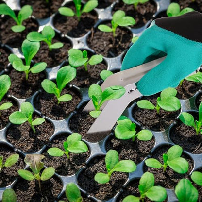 Reallnaive 4 Pcs 6.7 Inch Seedling Transplant Tongs with Gardening Gloves 2 Stainless Steel Gardening Plants Transplant Tongs 2 Rubber Coated Protective Gloves with Grip for Reducing Root Damage