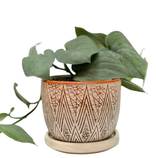 Plant Pots with Drainage 3 Inch Diameter Home Decor Indoor Ceramic Wide Planters with Saucer for Live Plants Outdoor Houseplants for Home Office Wedding Birthday Gift (Desert) - color: Desert