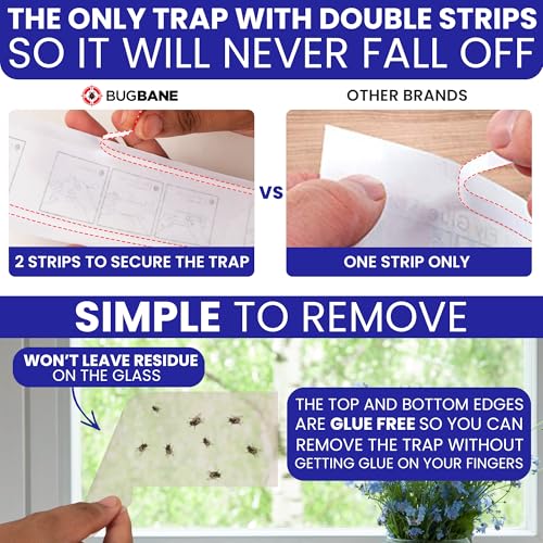 Window Fly Traps Sticky, Fly Paper Indoor for Home, Non-Toxic, 100-Pack - size: 100pk
