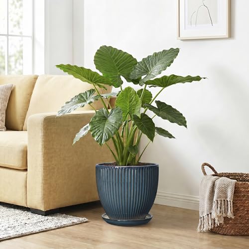 Ceramic Planter, 10 Inch Plant Pot with Saucer, Retro Blue - color: Retro Blue, size: 10 Inch