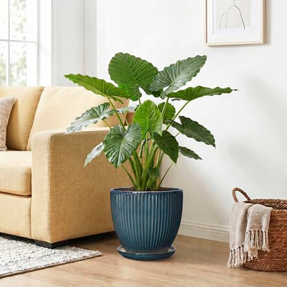 Ceramic Planter, 10 Inch Plant Pot with Saucer, Retro Blue - color: Retro Blue, size: 10 Inch
