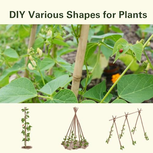 Bamboo Stakes 3FT 30pcs, 36 inch Garden Stakes Multi-Purpose, Bamboo Plant Support Stakes for Tomatoes, Beans, Peppers, Flowers, Potted, Maintain the Plant Posture, Strengthen and Stem - size: 3FT,Pack of 30