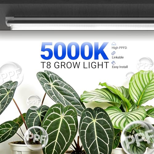 Barrina T8 Grow Lights, 2FT 5000K White Full Spectrum Plant Lights, 6 Packs - size: 2FT