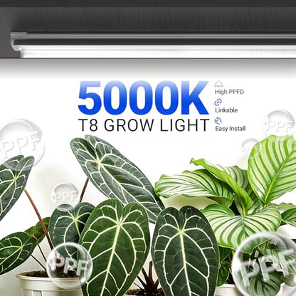 Barrina T8 Grow Lights, 2FT 5000K White Full Spectrum Plant Lights, 6 Packs - size: 2FT