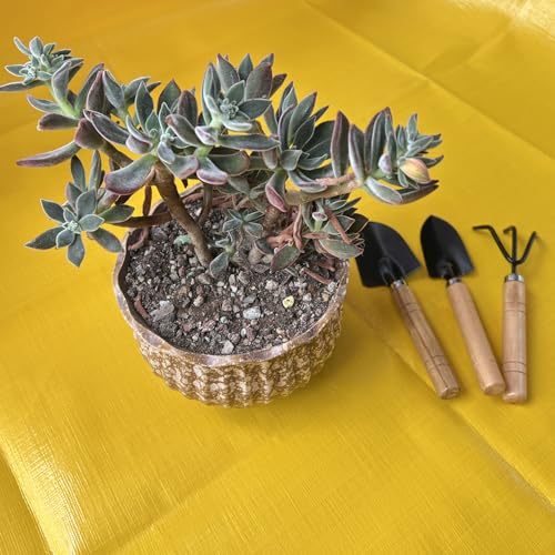 Kids Gardening Tools Set, 3-Piece Shovel Trowel Rake Kit