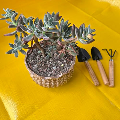 Kids Gardening Tools Set, 3-Piece Shovel Trowel Rake Kit