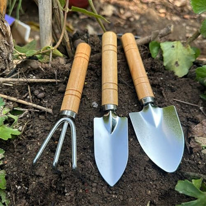 3 Pcs Mini Garden Tools Set Small Tiny Shovel Trowel and Hand Rake with Solid Wood Handle Indoor Gardening Tools for Pot Plants Succulent Bonsai - style: 3PCS Mini Silver
