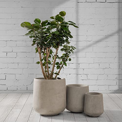 Kante Set of 3 Weathered Concrete Curved Planters 16.5" 13" 9.4" Dia - color: Weathered Concrete, size: Set of 3: 15.3" + 11.6" + 8.2" D