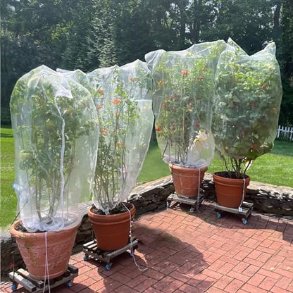 Drawstring Blueberry Netting for Bushes (4 Pack 5.91×5.25Ft) - Easy Install Reusable Garden Netting, Protective Mesh for Fruit Trees & Tomato Plants, Blocks Birds, Squirrels & Insects - size: 5.91×5.25 ft