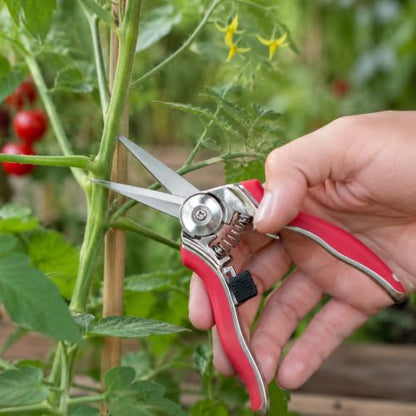 ALLWAY GA-SNP Stainless Steel Garden Snip, 6.75"