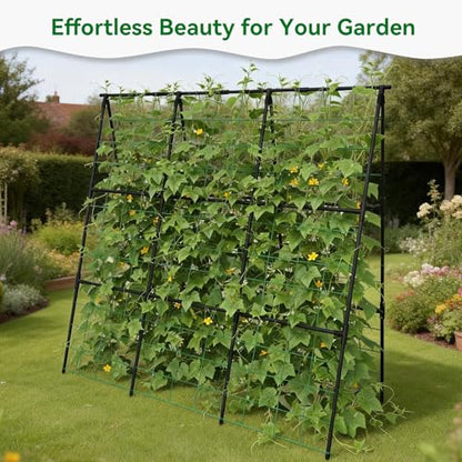 Cucumber Trellis 49.4"*49.4" Metal Garden Trellis for Climbing Plants,Black - size: 50"*32"*50"-B