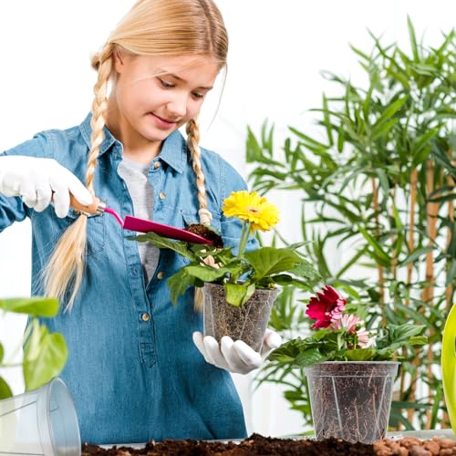 10 Pack Clear Plant Nursery Pots with Drainage 6 Size Plastic Orchid Pots - size: MIX-6 Sizes