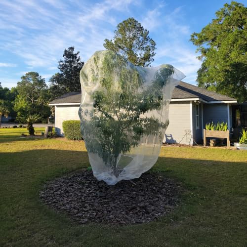 2 Pack 13x13ft Extra Large Fruit Tree Netting with Double Zipper & Double Drawstring, Heavy Duty Bird Netting for Fruit Trees, Reusable Tree Net to Protect from Birds, Squirrels, Deer