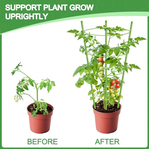KLS 3 Pack Tomato Cage for Pots Plant Support, Upgrade 24 Inches Tomato Cages for Garden, Pepper Cage Trellis Kit with Plant Tie and Clips (24") - size: 24"