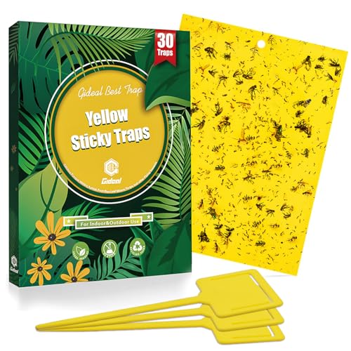 Gideal 30-Pack Dual-Sided Yellow Sticky Traps for Indoor Outdoor Flying Plant Insect Fungus Gnats, Whiteflies, Aphids, Leafminers,Thrips (6x8 Inches, Included 30pcs Twist Ties) - size: 30 Pack