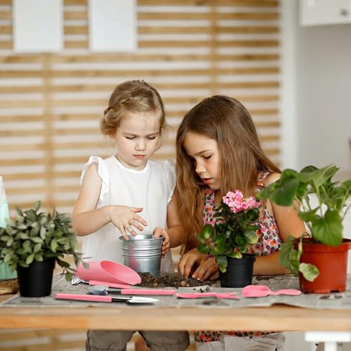 13 Pcs Succulent Care Tools, Mini Garden Transplanting Tool Set - style: Pink