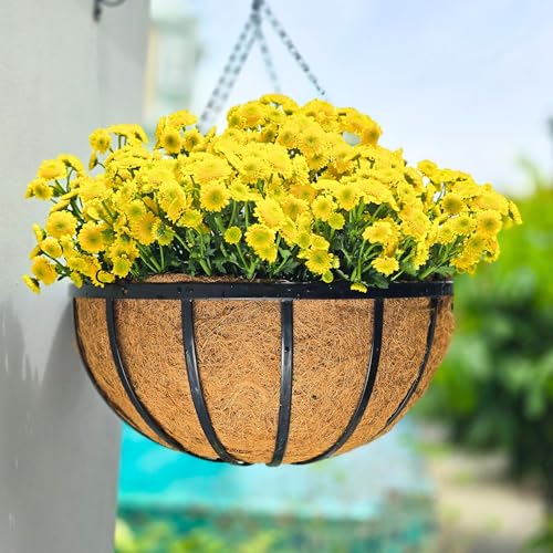LaLaGreen Black Hanging Baskets (20 in, 4 Pack) Metal Plant Pots with Chain - size: 20" (51cm) x 4 Pack