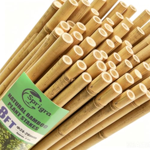 50pcs Bamboo Stakes 92 Inch, Approx 8ft Garden Stakes Multi-Purpose, Plant Support Stakes for Tomato, Beans, Cucumbers, Peppers, Potted Trees, Maintain the Plant Posture, Strengthen and Stem - size: 8FT, Pack of 50