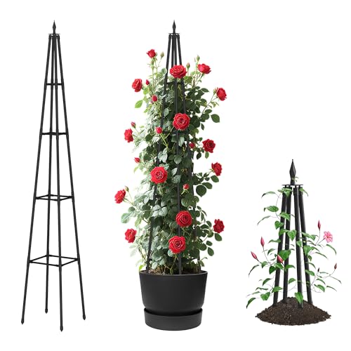 Alisisfores 6 FT Obelisk Trellis for Climbing Plants, Black - size: 6 Ft