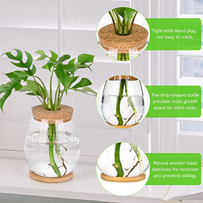 Plant Propagation Station,2 Pcs Glass Vases with Wooden Stand & Lid - size: 4.2" L x 4.2" W x 5.2"H