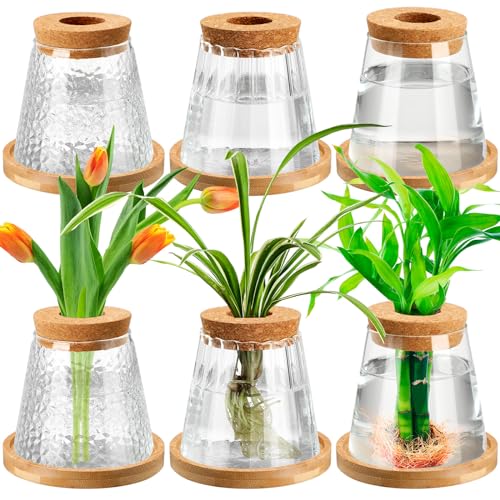 6 Pcs Glass Plant Propagation Station with Wood Lid & Stand, Cute Style - style: Cute Style