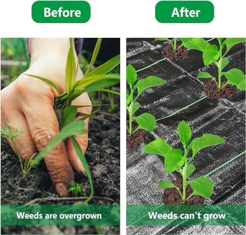 codree 26 x 6.5 Ft Garden Weed Barrier Landscape Fabric with Planting Holes- Heavy-Duty Garden Weed Control Barrier- Weed Block Gardening Mat with 10 Ground Nail for Outdoor Garden - color: 6.5x26ft