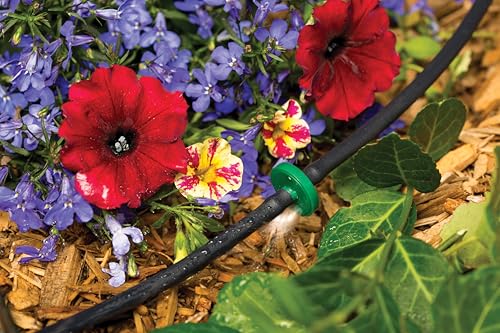 Rain Bird ILD2010PKXS Drip Emitter, 2 GPH, 10-Pack - style: 2 GPH on In-Line Stake