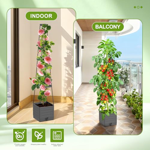 2 Pack Raised Garden Bed Tomato Planter with Trellis, 57" Tomato Cage Plant Support Planters, Self-Watering Planter for Tomatoes Climbing Plants Vegetable Vine Flowers Outdoor & Indoor