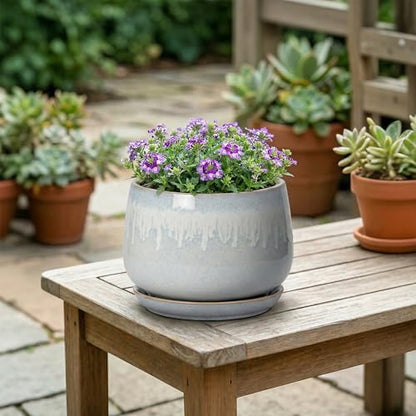 Ceramic Plant Pots 6 Inch, Indoor Flower Pots, Grey-White - size: 6 Inch, style: Grey-white