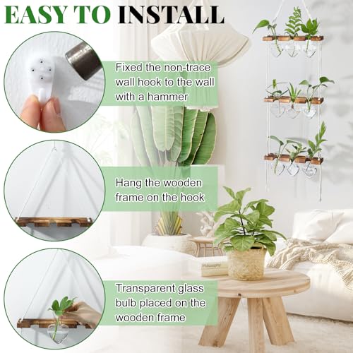 Leinuosen Hanging Plant Propagation Station, Propagation Vases, Clear - color: Clear