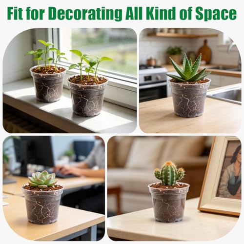 BTPLASTIK 50 Pack 3 Inch Clear Nursery Pots with Drainage Hole, Small Transparent Seed Starter Pots, Sturdy Plastic Plant Pot for Planting Seedlings Vegetables Flowers (3Inch-50P) - size: 3 Inch-50P