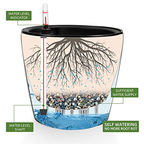 Dexceder 11x10 Self Watering Planter (Black High Gloss) - color: Black, size: 11x10