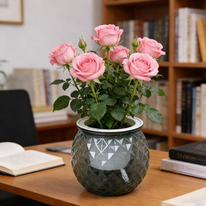 Self Watering Planter Pots, Automatic Water Absorbing Pot Indoor Hydroponic Plant Flower Pots for Green Luo, Succulent Plant (Grey, 11x10.5cm) - color: Gray