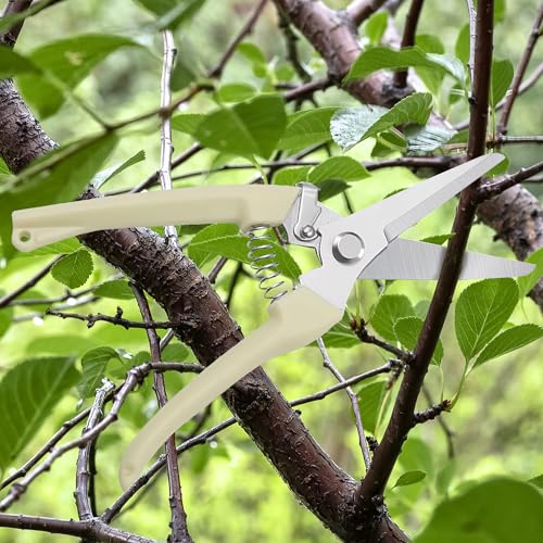 Straight Blade Stainless Steel Pruning Shears for Garden - Rust Resistant Branch Cutter with Non-Slip PP Handle - color: Beige, size: Straight mouth